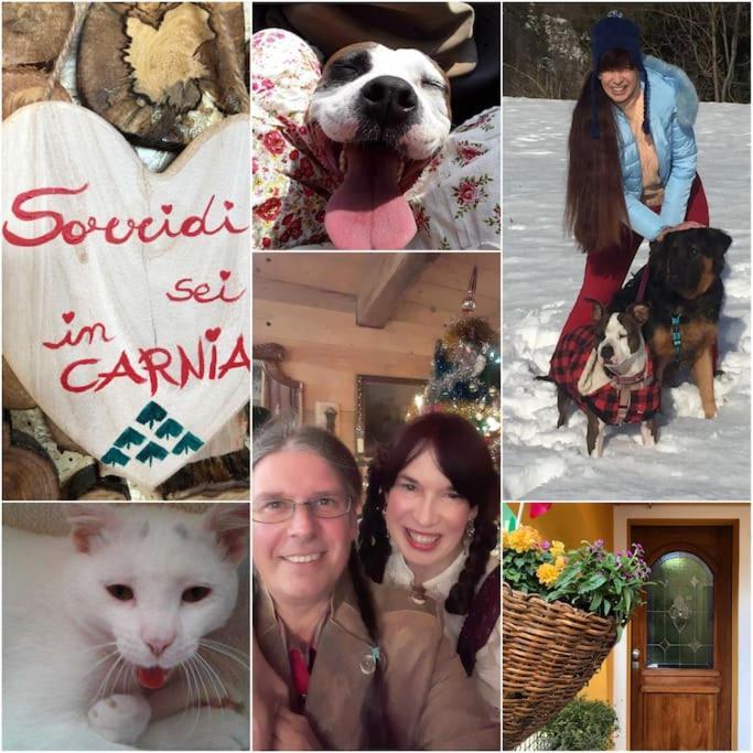 Holiday Guesthouse La Casina Di Butzi Pet Friendly - Terme Di Arta - Zoncolan Arta Terme Exteriér fotografie