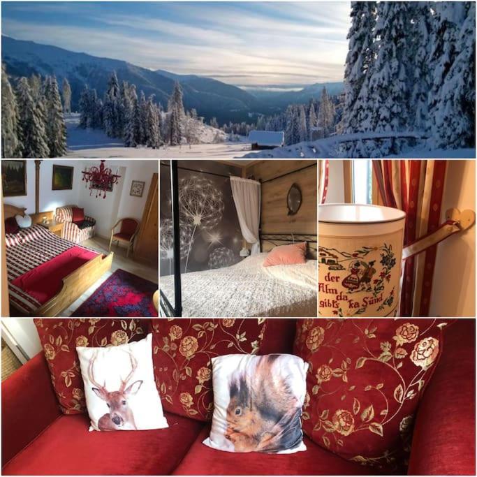 Holiday Guesthouse La Casina Di Butzi Pet Friendly - Terme Di Arta - Zoncolan Arta Terme Exteriér fotografie