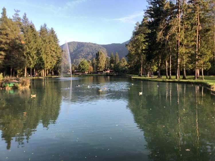 Holiday Guesthouse La Casina Di Butzi Pet Friendly - Terme Di Arta - Zoncolan Arta Terme Exteriér fotografie